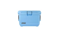 Coleman Pro -Quart Hard Cooler
