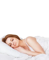 Swift Home Sanctuary 2-Pack Pillow, Standard