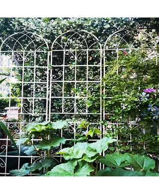 Rustproof Metal Garden Trellis for Climbing Plants