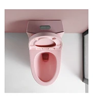 WaterSense Certified One-Piece Toilet with Powerful Dual Flush (1.1/1.6 Gpf)