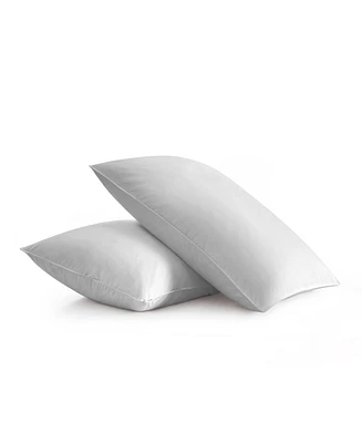 Unikome Goose Down Feather 2-Pack Pillows