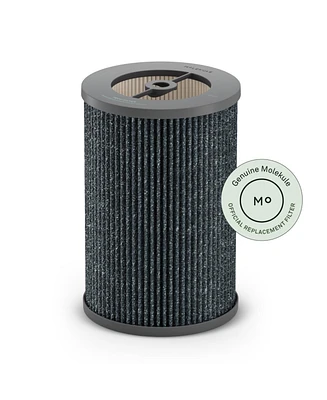 Molekule Peco-hepa Tri-Powered Filter for Air Pro