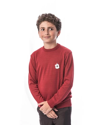 Elie Balleh Big Boys Red Modern Crewneck Sweater