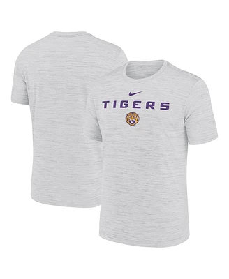 Nike Men's Ash Lsu Tigers 2025 Sideline Velocity Performance T-Shirt