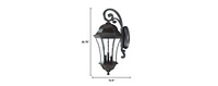 Waverly 3-Light Coral Wall Light – Stylish Wall Pendant for Any Room