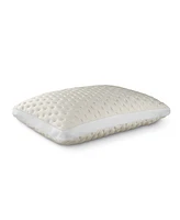 FabricTech Memory Foam Pillow, Standard