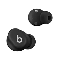 Beats - Solo Buds True Wireless Earbuds + Power Adapter