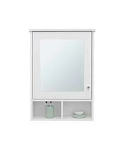 Anamoose Medicine Cabinet with 5 Shelves, 1 Door, and 1 Mirror, White