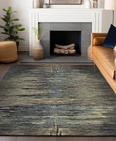 Addison Chantille Machine Washable ACN1299 10'x14' Area Rug