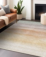 Addison Chantille Machine Washable ACN1253 2'6"x3'10" Area Rug