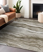 Addison Chantille Machine Washable ACN1247 8'x10' Area Rug