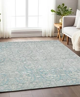 Addison Chantille Machine Washable ACN1231 9'x12' Area Rug