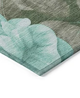 Addison Chantille Machine Washable ACN1565 5'x7'6" Area Rug