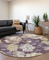 Addison Chantille Machine Washable ACN1561 8'x8' Round Area Rug