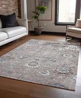 Addison Chantille Machine Washable ACN1374 9'x12' Area Rug