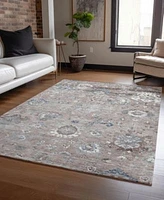 Addison Chantille Machine Washable Acn1374 Area Rug Collection