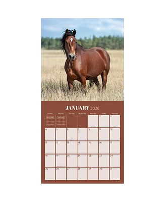 2026 Horses Wall Calendar