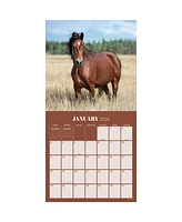 2026 Horses Wall Calendar