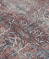 Amer Rugs Alaska Machine Washable Ala4 Rug Collection