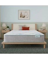 Beautysleep Bashful Lullaby 11.5 Firm Tight Top Mattress Collection