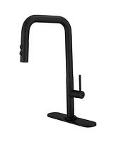 Single Handle Pull-Down Sprayer 1 Spray High Arc Kitchen Faucet With Deck Plate in Matte Black