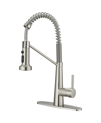 Single-Handle Pull-Down Sprayer 2 Spray High Arc Kitchen Faucet With Deck Plate
