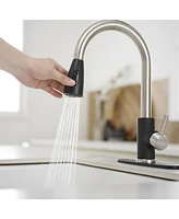 Greenspring Single-Handle Pull-Out Sprayer Kitchen Faucet with Supply Lines Matte Black and Brushed Nickel