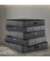 Beautyrest World Class Level Three 13 Hybrid Plush Tight Top Mattress Collection