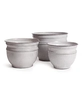 Napa Home & Garden Camelia Pots Set of 3