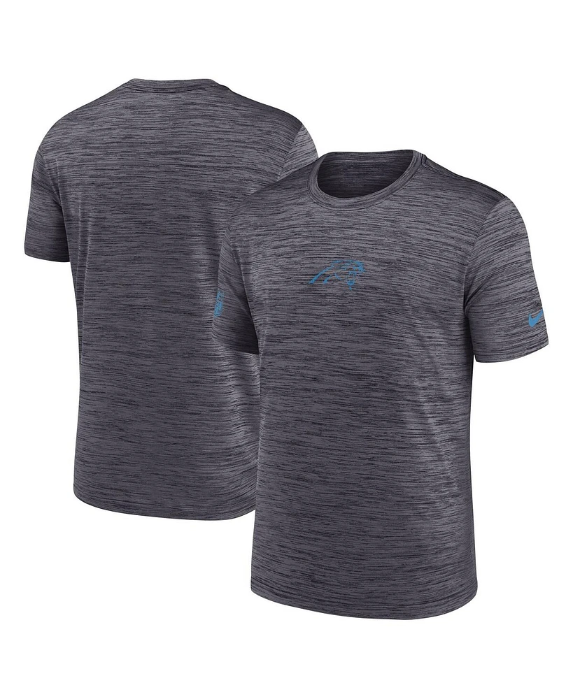 Nike Men's Black Carolina Panthers Sideline Velocity Performance T-Shirt