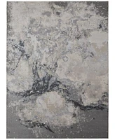 Feizy Astra 39l3f Rug Collection