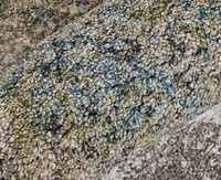 Feizy Skyview 39Q9F 2'6"x7'3" Runner Area Rug