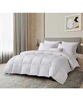Beautyrest Feather and Down Fiber Comforter
