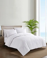 Nikki Chu 300-Thread Count Down Comforter