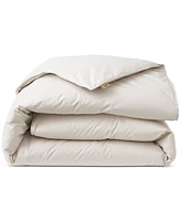 Nikki Chu 250-Thread Count Down Comforter, Twin - Soft Clay