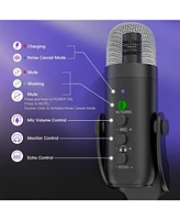ZealSound Wireless Microphone K66DG-us and D65P Microphone Furry Windscreen