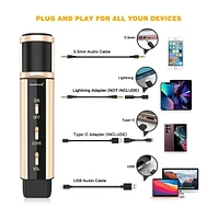 ZealSound k66 + k08 Gold Microphone Bundle