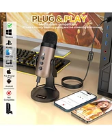ZealSound Usb Microphone k66g Gold and Furry Microphone Cover Bundle