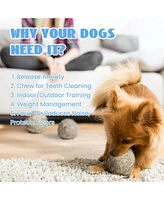 Nocciola Wobble Giggle Ball for Dogs,Christmas gift,Interactive Dog Toys for Boredom, Squeaky Ball Dog Toys