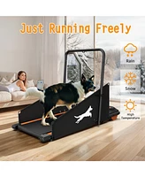 Streamdale Furniture Dog Treadmill - Small & Medium Dogs - Run & Walk