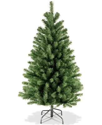 National Tree Company 4' North Valley Spruce Tree