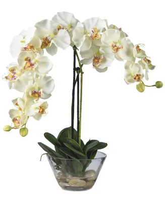 Nearly Natural Phalaenopsis Flower Arrangement with Glass Vase