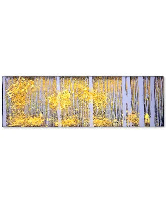 Roderick Stevens PanorAspens Grey Forest 16" x 47" Canvas Art Print