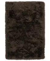 D Style Fia 3' 6" x 5' Shag Area Rug