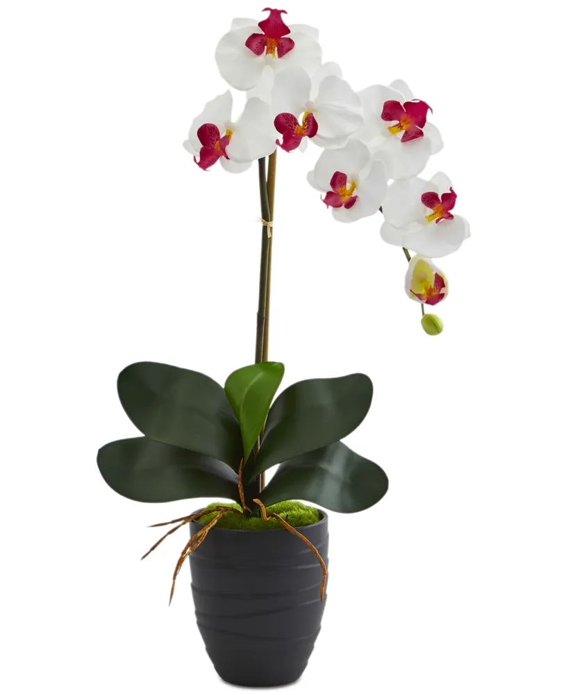 Nearly Natural Phalaenopsis Orchid Artificial Arrangement in Black Ceramic Vase