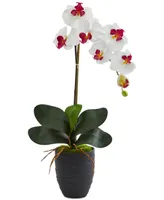 Nearly Natural Phalaenopsis Orchid Artificial Arrangement in Black Ceramic Vase