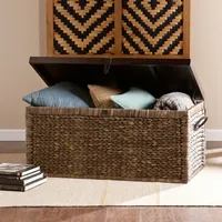 Water Hyacinth Storage Trunk
