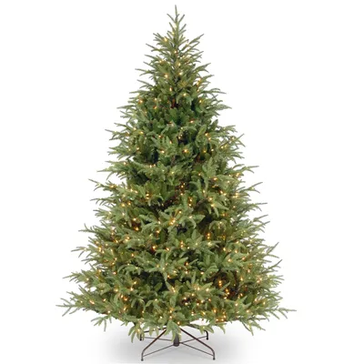 National Tree 6.5' Feel Real Fraser Grande Hinged Tree with 550 Dual Color Led Lights