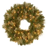 National Tree Company 24" Carolina Pine Wreath with 50 Battery Operated Led Lights