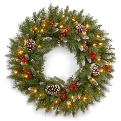National Tree Company 24" Frosted Berry Wreath with 50 Clear Lights